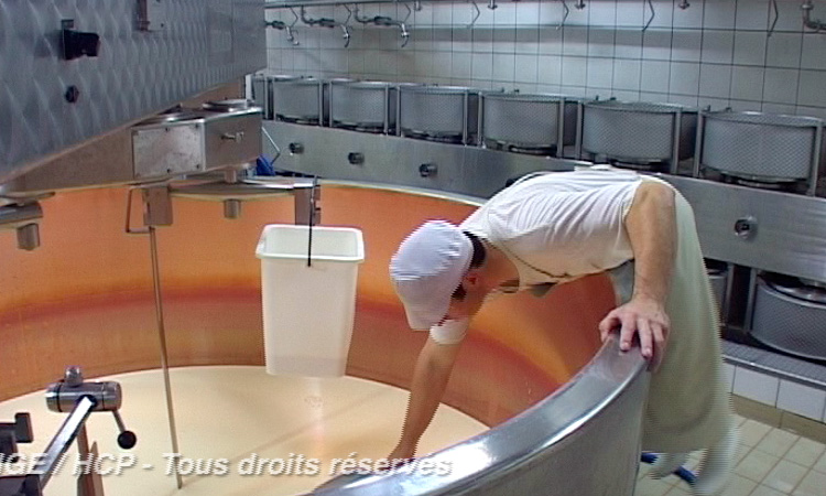 Fabrication du fromage - Fabrication du fromage de Comté - 5mn 33s